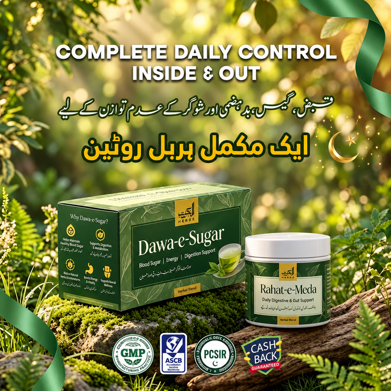 Complete Wellness Bundle